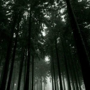 Meet your Posher, Yousef